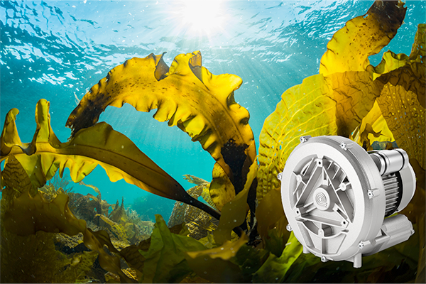 Sustainable aquaculture